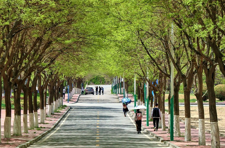 天津市园林学校2024招生章程