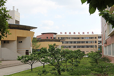 护理学院6